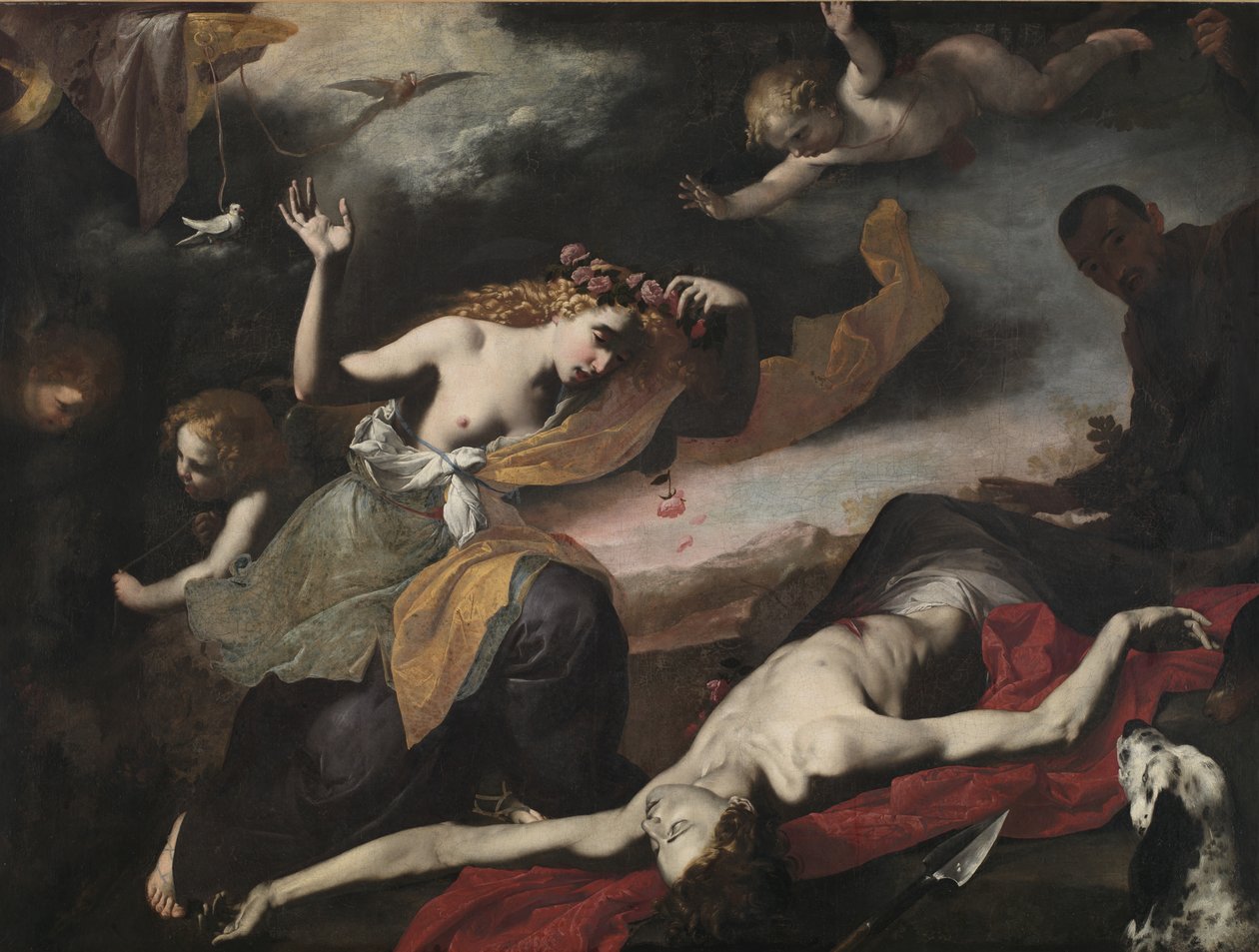 Vênus descobrindo os mortos Adonis, c.1650 de Italian School