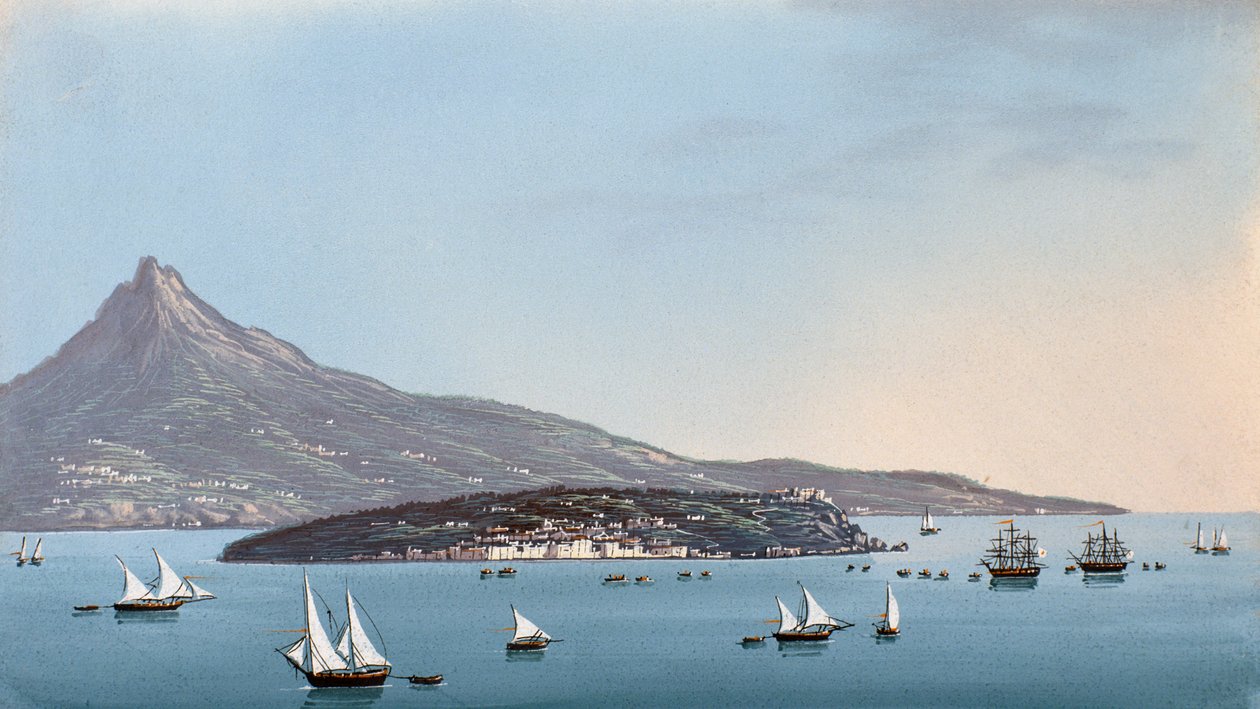Vista de Nápoles (gouache) de Italian School