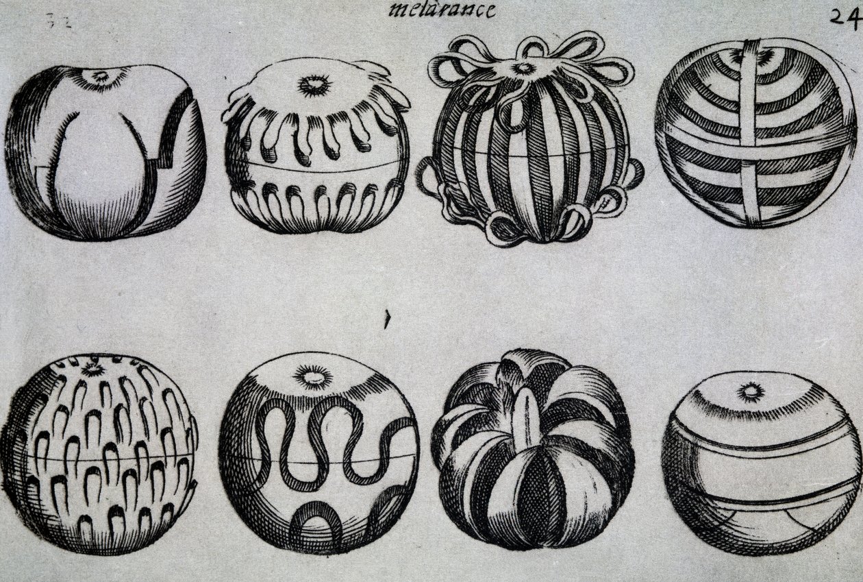 Maneiras de cortar frutas, Ilustração de Li tre trattati di messer Mattia Giegher bavaro di Mosburc, Trinciante dell