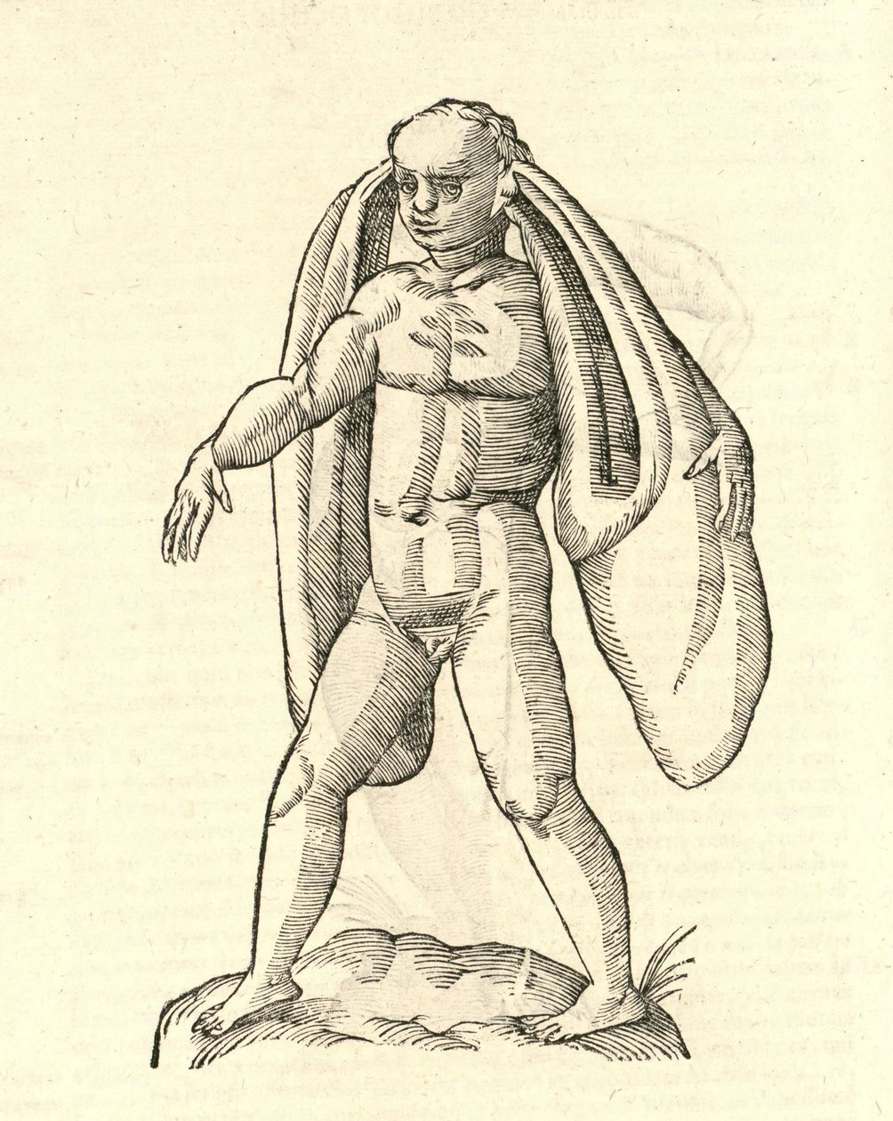 ilustração de Homo Fanesius auritus de Aldrovandis History of Monsters, 1642 de Italian School