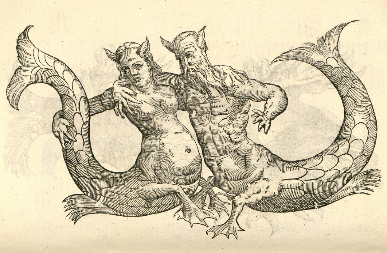 ilustração de Monstra Niliaca Parei de Aldrovandis History of Monsters, 1642 de Italian School