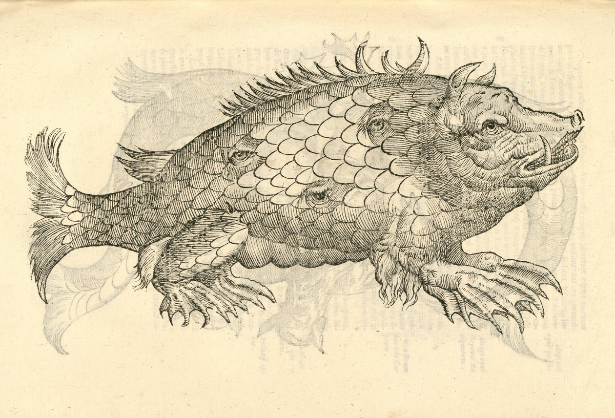 ilustração de Monstrosus Sur marinus de Aldrovandis History of Monsters, 1642 de Italian School
