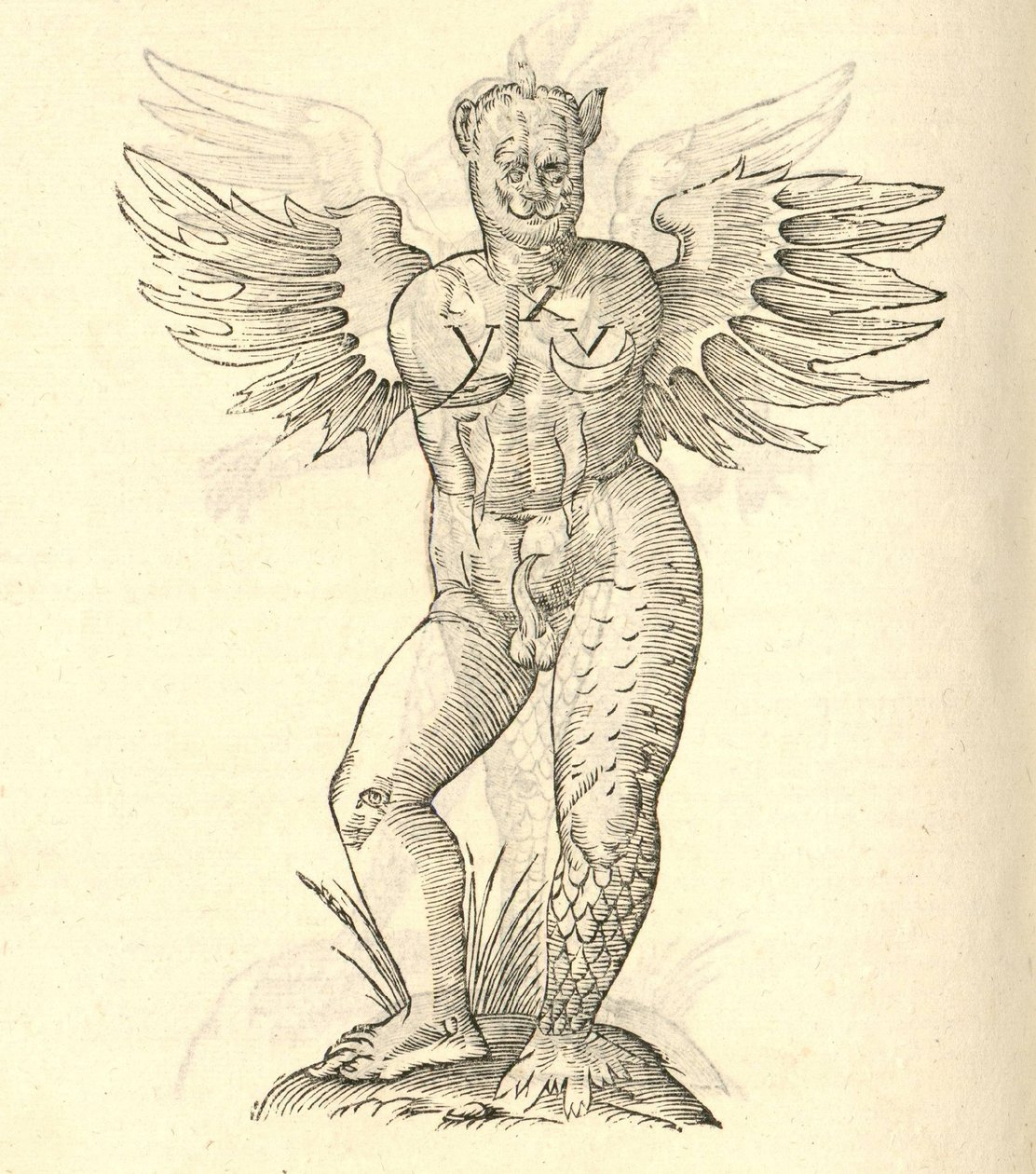 ilustração de um chifres monstro e asas de outro kazakovae History of Monsters, 1642 de Italian School