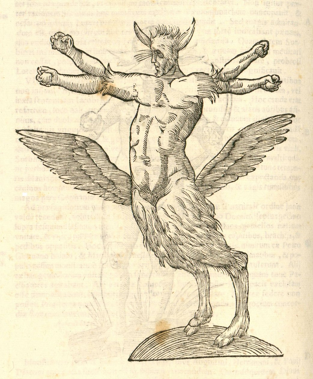 tetrachiron ilustração monstro alado do humano orelhudo de kazakovae History of Monsters, 1642 de Italian School