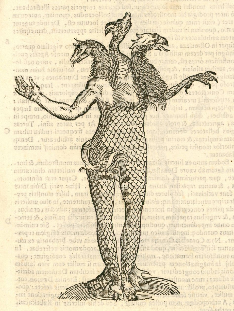 Ilustração do monstro do dragão raposa três cabeças e Áquila de kazakovae History of Monsters, 1642 de Italian School