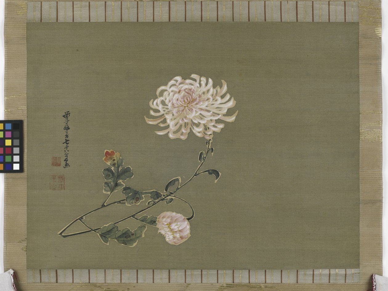 Crisântemo, Período Edo, 1791 (tinta e cor na seda) de Ito Jakuchu