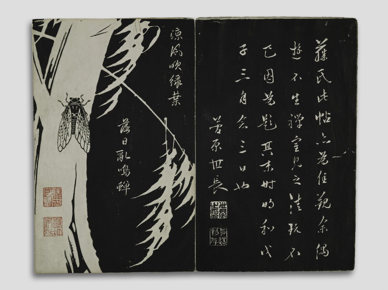 Flores das Montanhas Kun-lun (Gempô Yôka) Período Edo (xilogravura) de Ito Jakuchu