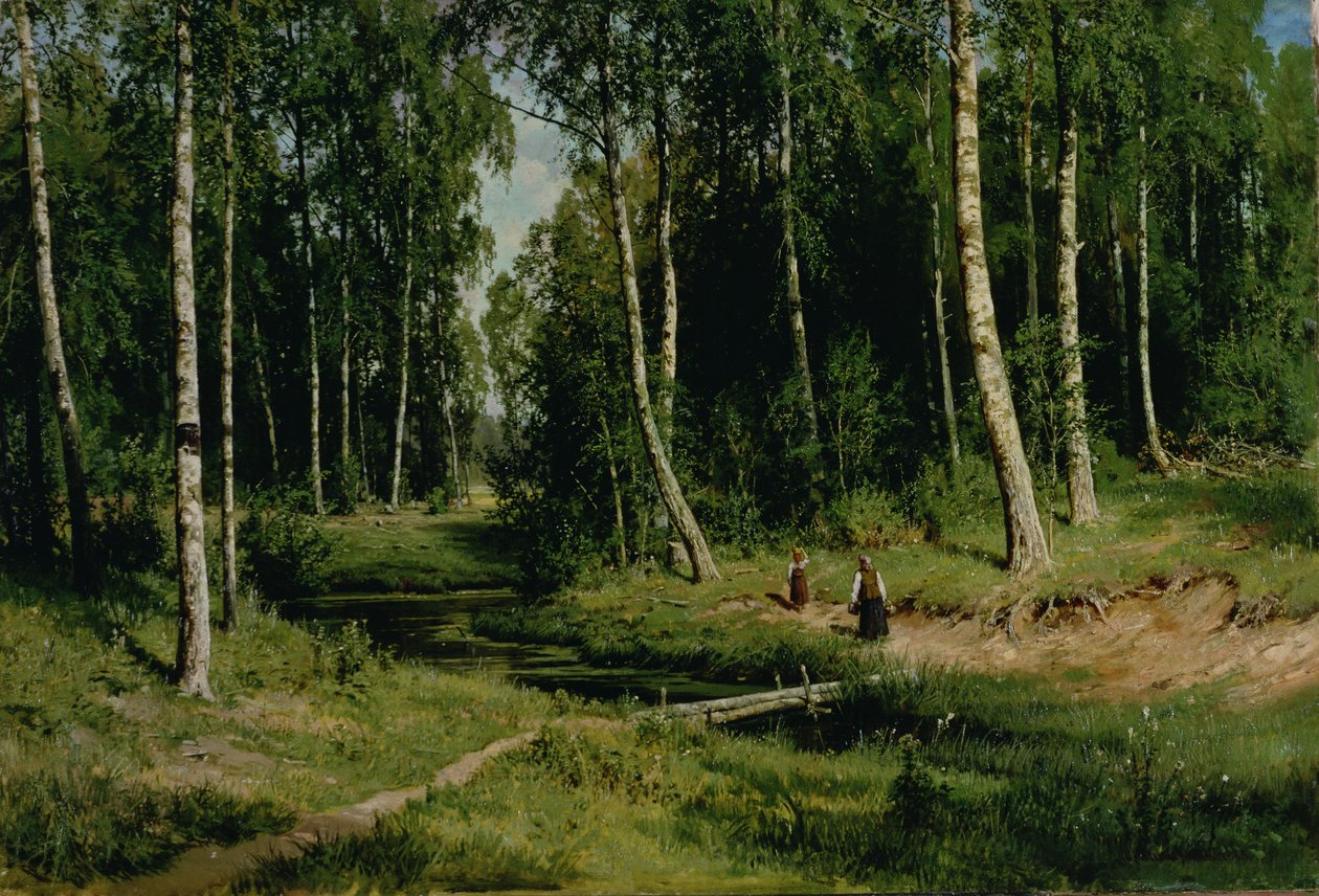 Na floresta de vidoeiro, 1883 de Ivan Ivanovich Shishkin