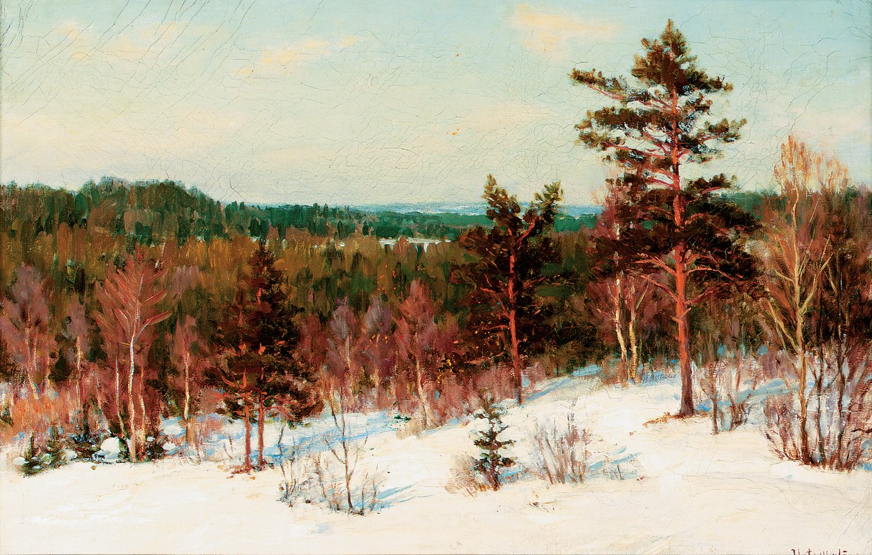 Inverno - vista sobre a floresta de Ivan Fedorovich Choultse