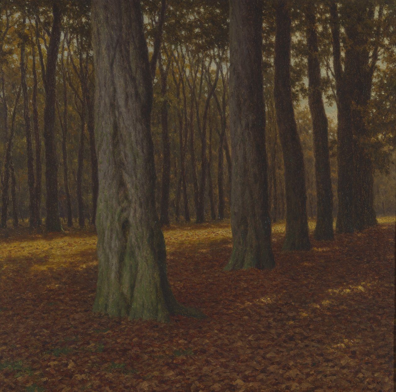 Paisagem lenhosa (óleo sobre tela) de Ivan Fedorovich Choultse