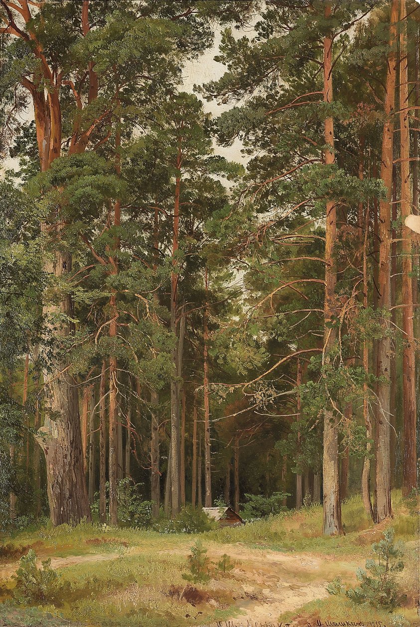 Um dia de verão, Merikiul, 1895 de Ivan Ivanovich Shishkin