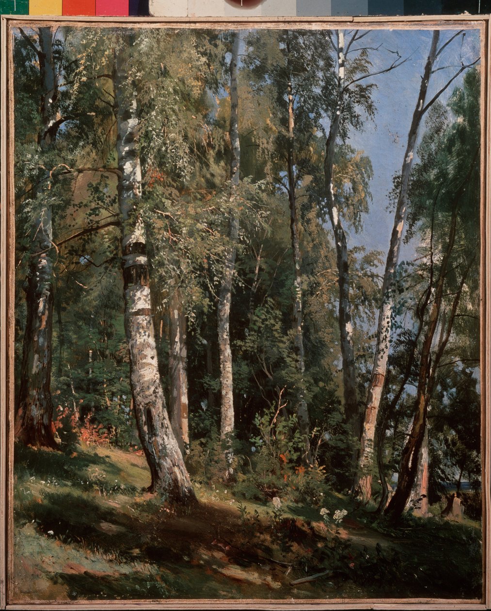 Birch grove - Pintura por Ivan Ivanovich Shishkin (Chichkin) (1832-1898), óleo sobre tela de Ivan Ivanovich Shishkin