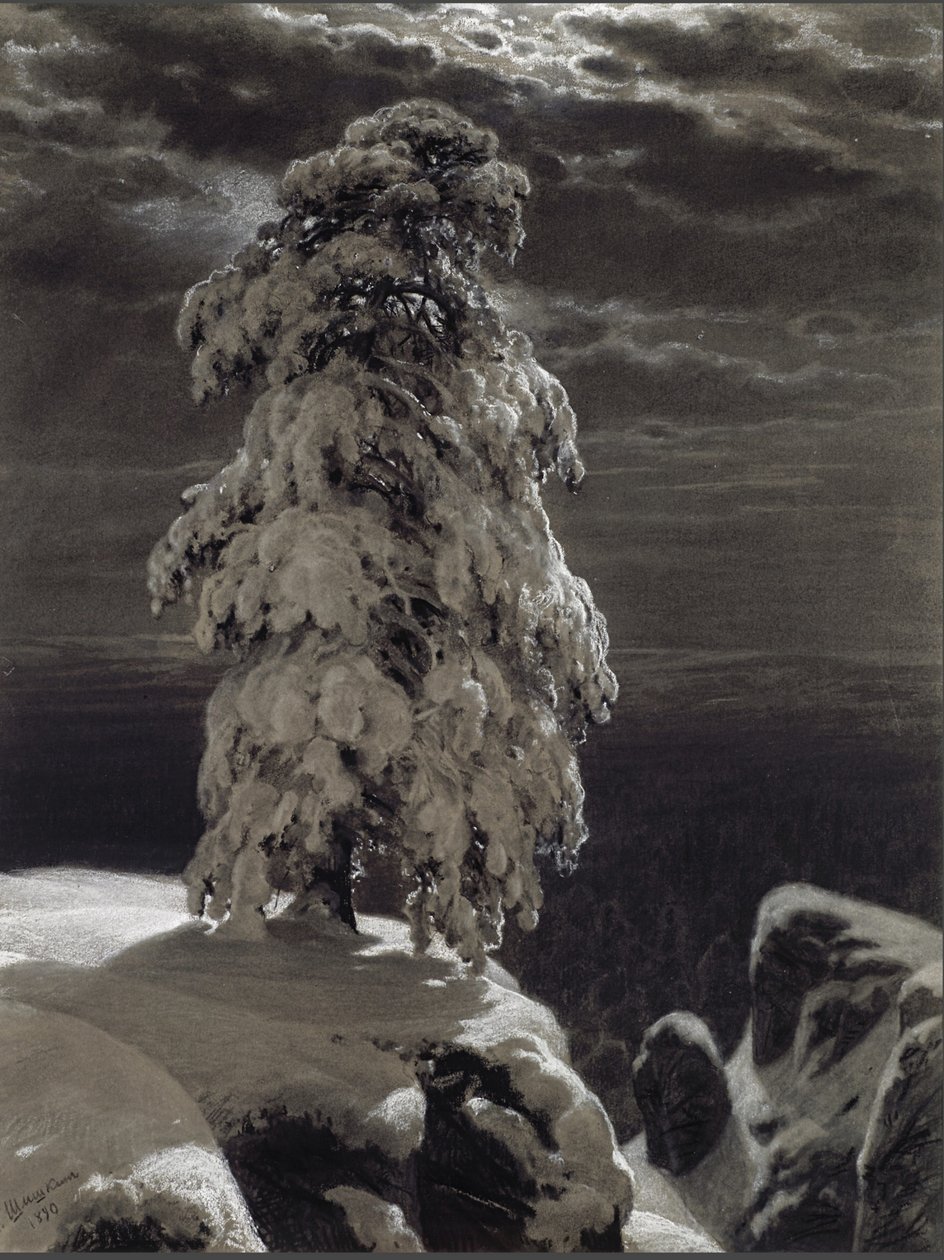 Nas selvas do Norte, 1890. de Ivan Ivanovich Shishkin