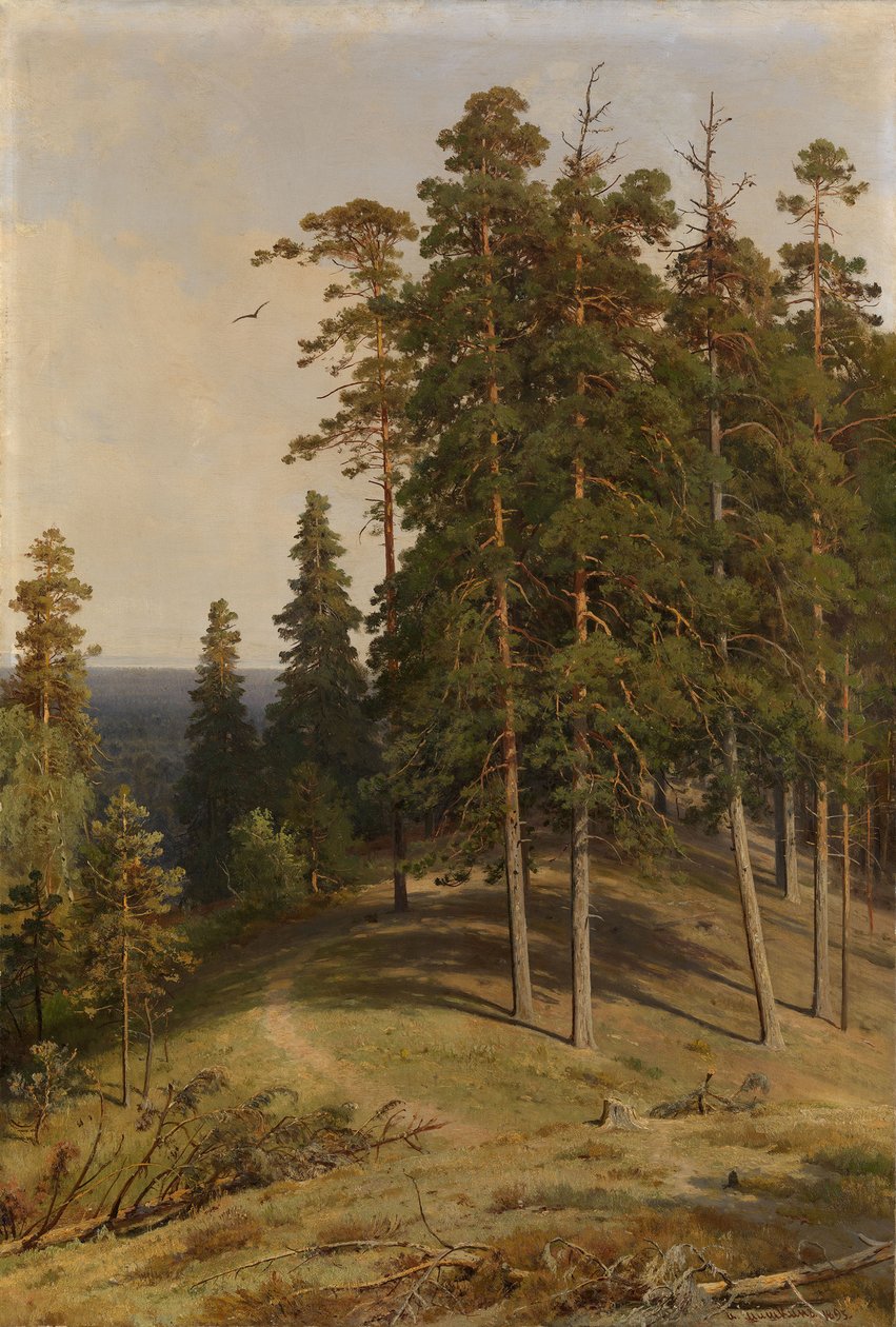 A floresta de pinheiros, 1895 de Ivan Ivanovich Shishkin