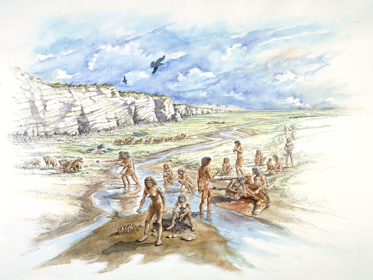Pedreira Boxgrove, Pré-histórica, c1990-2010 de Ivan Lapper