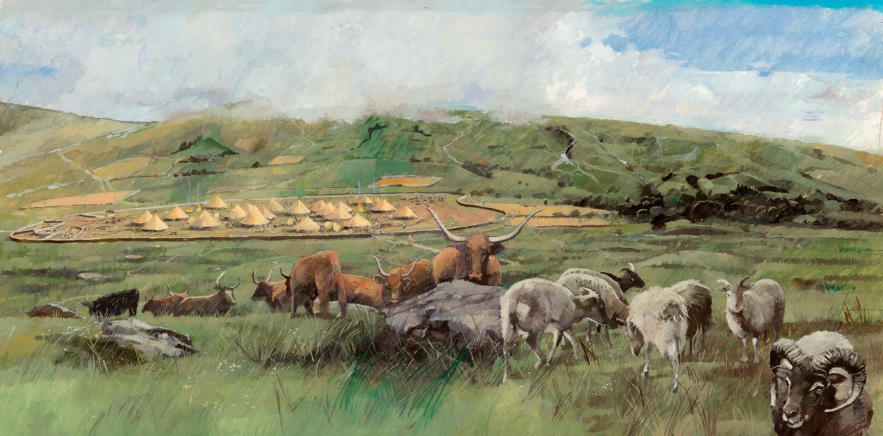 Grimspound, Idade do Bronze, c1990-2010 de Ivan Lapper
