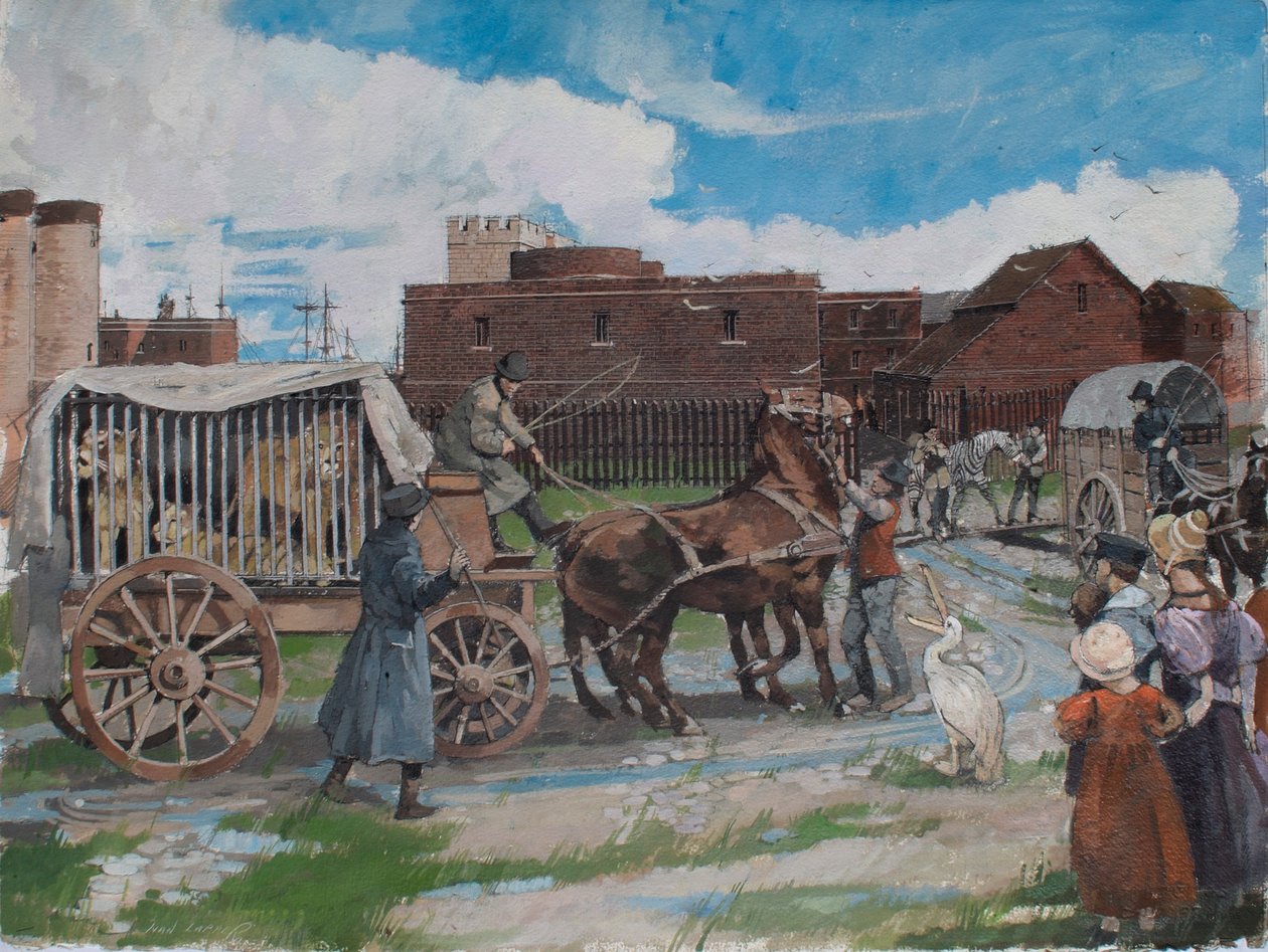 Vista reconstruída de animais da coleção real de animais a sair da Torre de Londres por volta de 1841 de Ivan Lapper