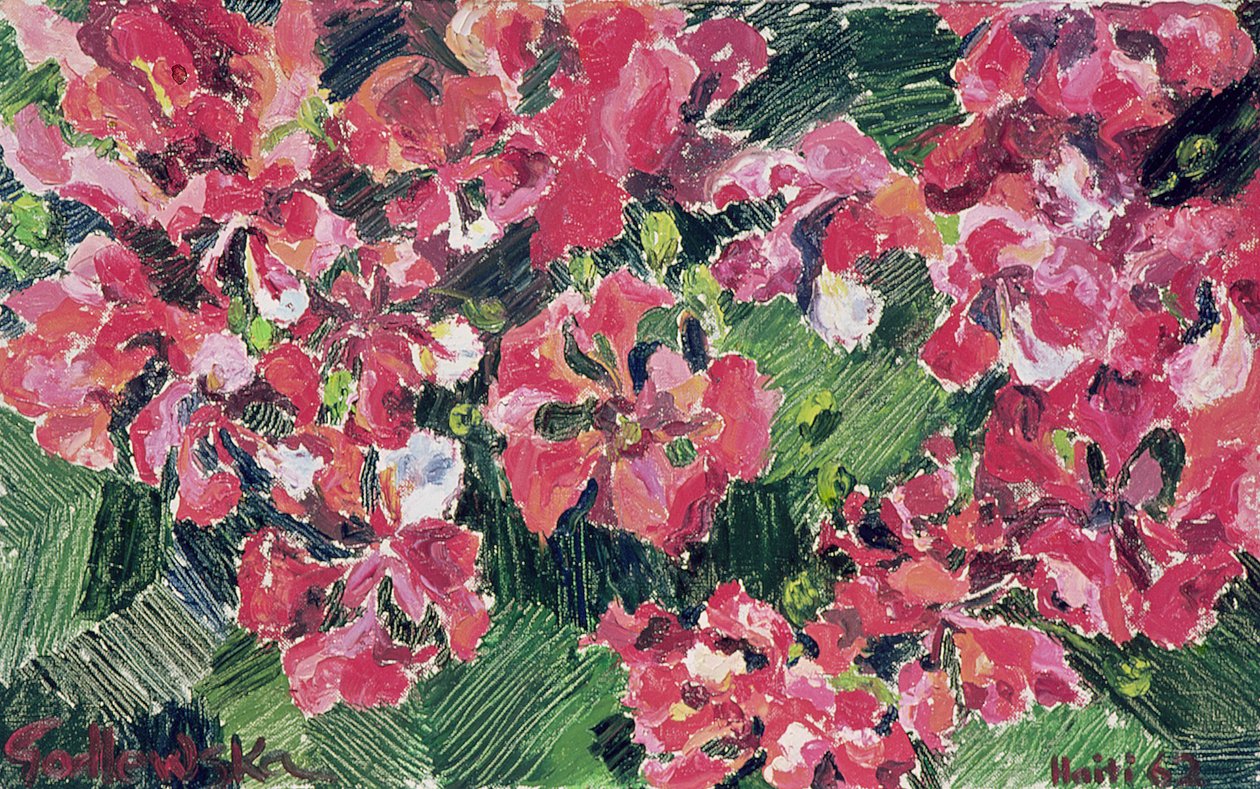 Rododendro, 1962 de Izabella Godlewska de Aranda
