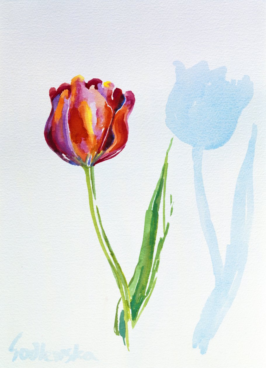 Tulip, 1998 (wc on paper) (ver também 124446 e 124447) de Izabella Godlewska de Aranda