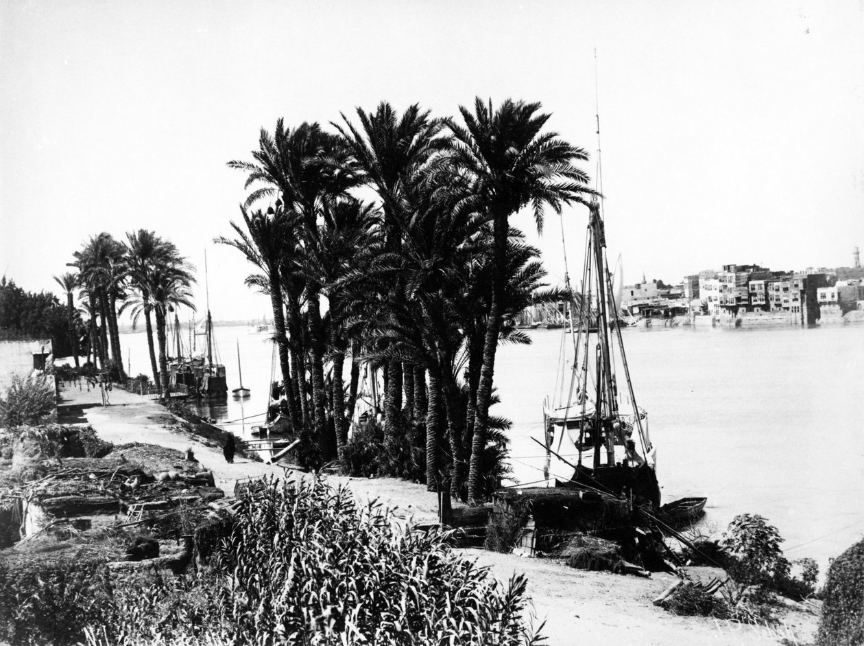 Paisagem do Nilo, c.1870 de J. Pascal Sebah