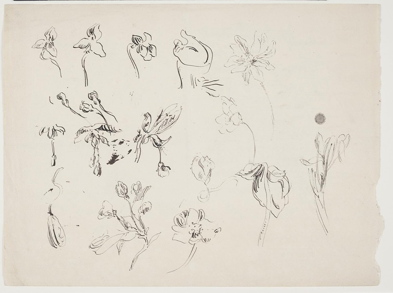 Esboços de flores de J.A. Jerichau