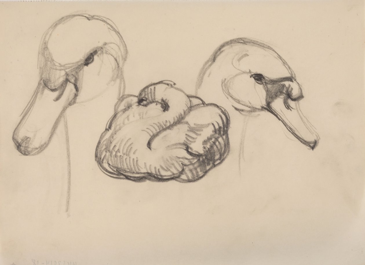 Cisne e cabeças de cisnes de J.A. Jerichau