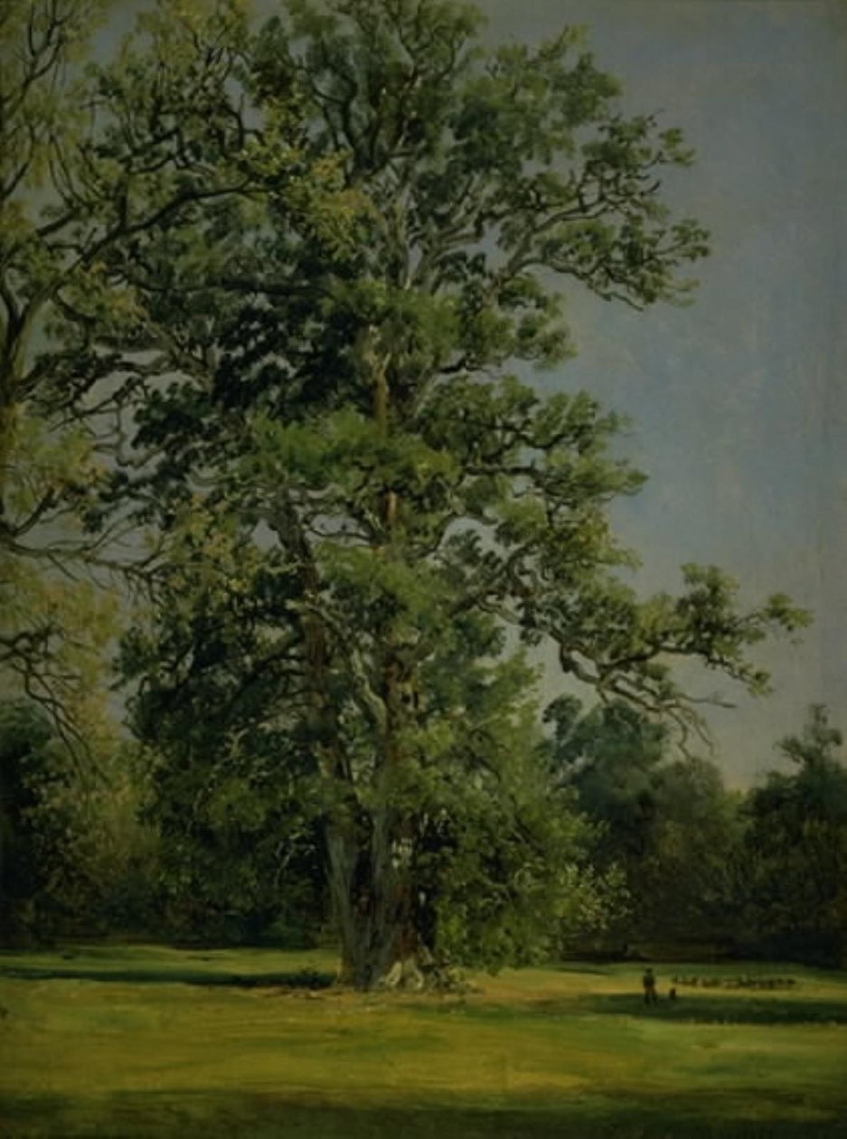 Um Carvalho. Vista do jardim em Wörlitz perto de Dessau de Johan Christian Dahl