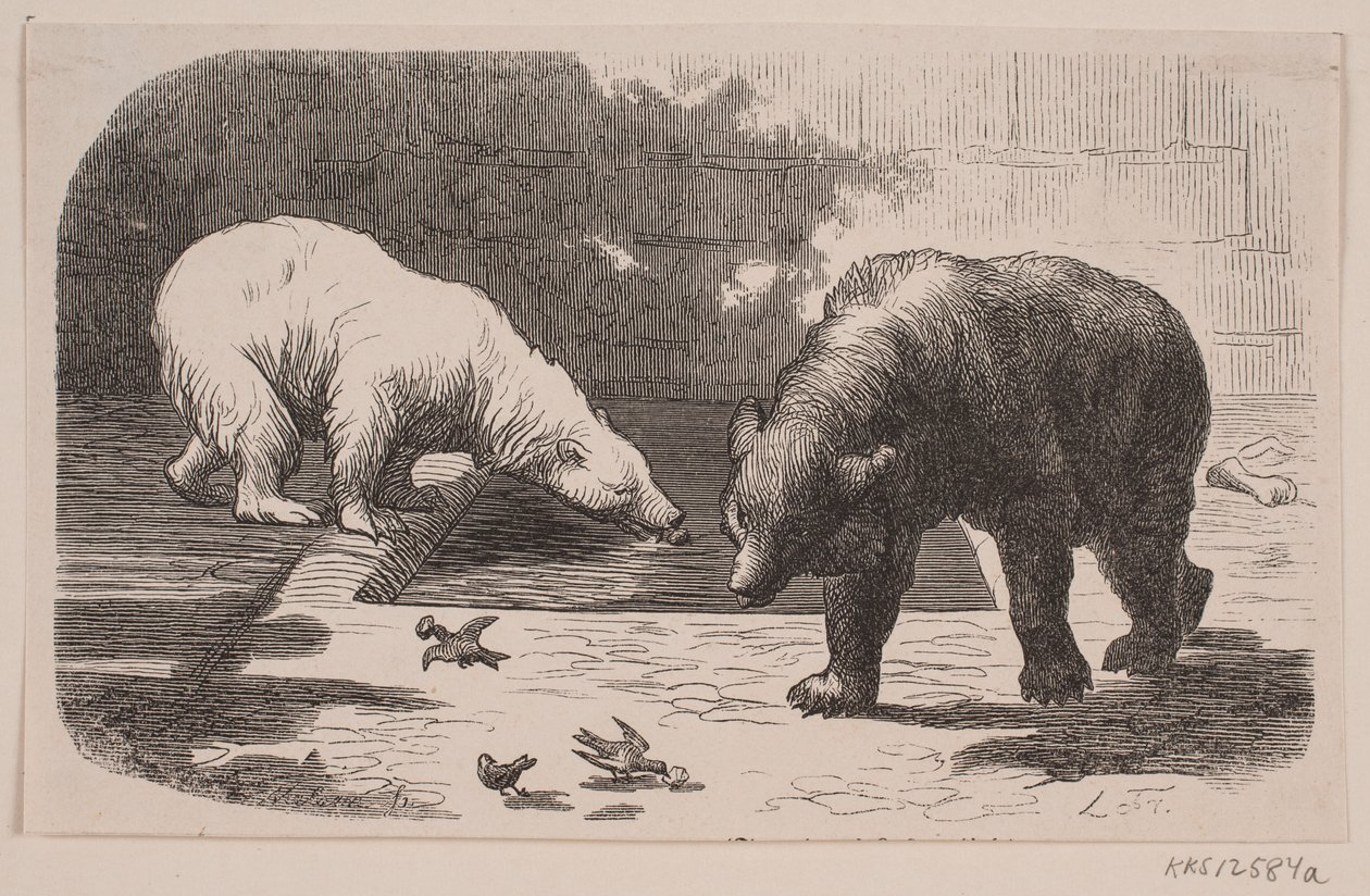 Ursos no Jardin des Plantes de J.C. Nielsen