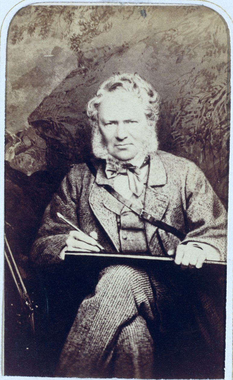 Retrato de Sir Edwin Landseer (1802-1873) (impressão de albume) de J.C. Watkins