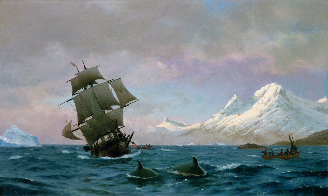 Captura de baleias, 1875 de J.E. Carl Rasmussen