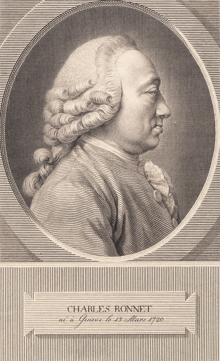 Charles Bonnet de J.F. Clemens