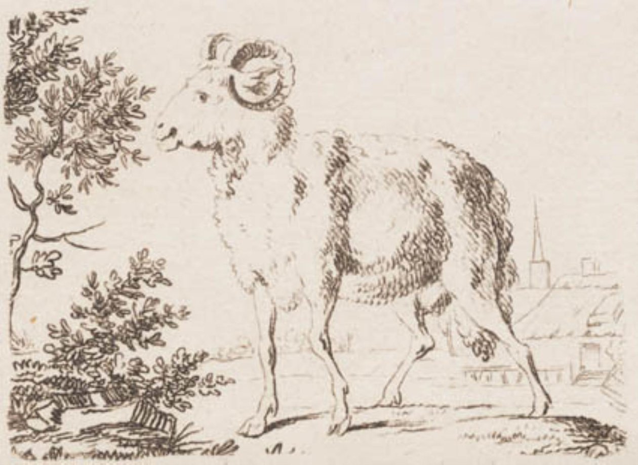 Um carneiro de J.F. Clemens