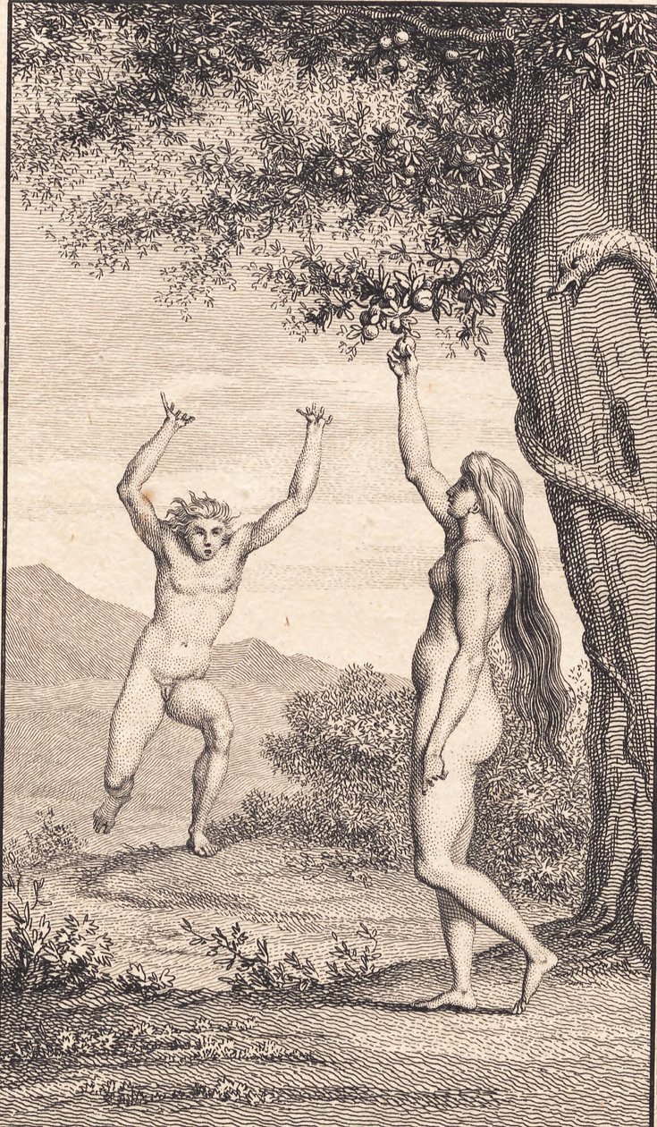 Ilustração para "Adão e Eva" de Ewald. III de J.F. Clemens