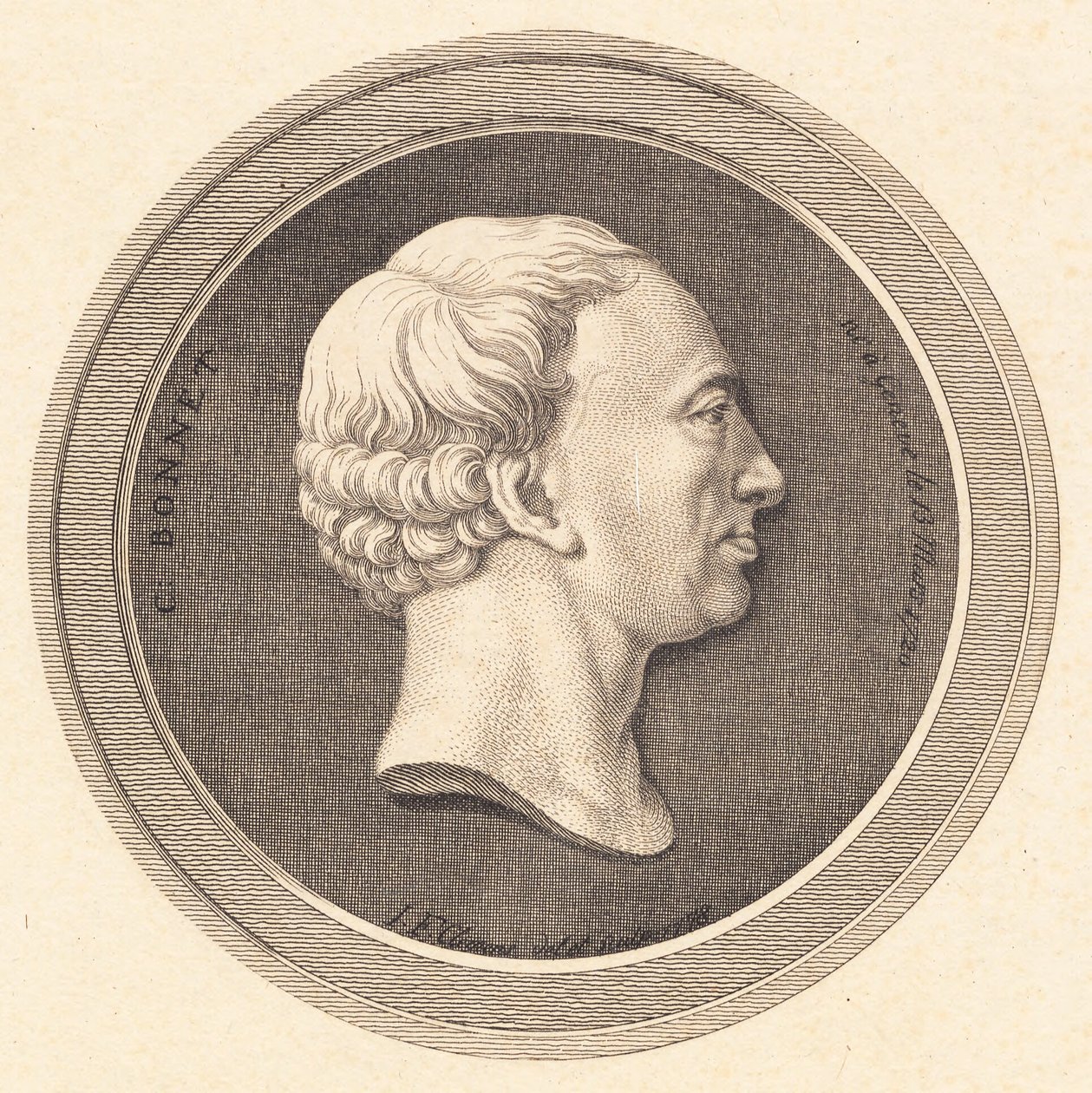 Medalhão de Relevo com retrato de Bonnet de J.F. Clemens
