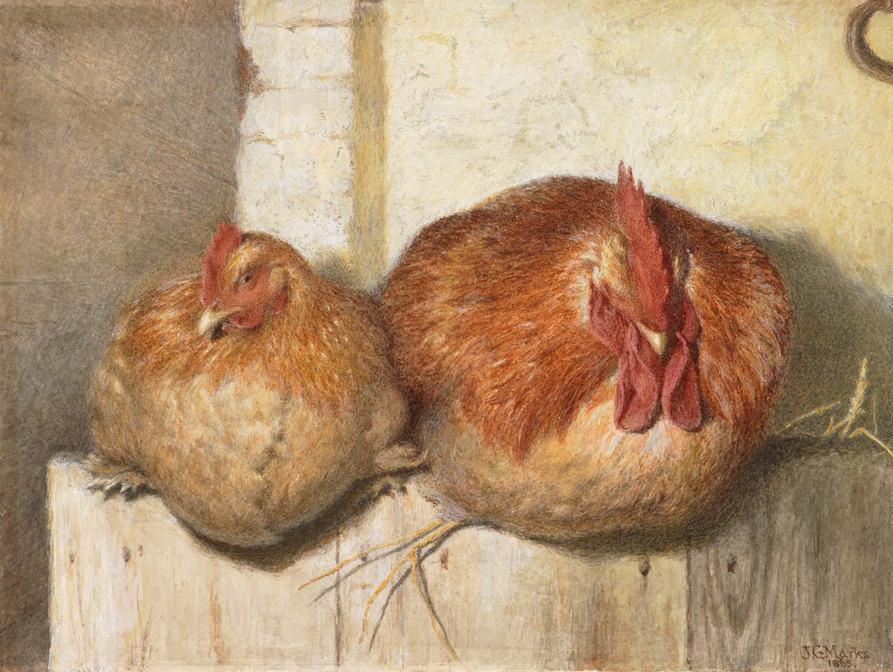 Quarenta Winks, 1865 (wc no papel) de J.G. Marks