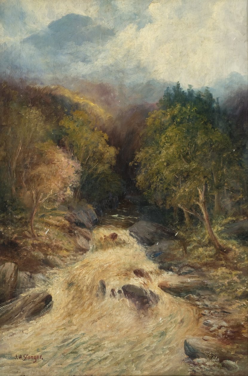 Uma floresta de montanha de J.H. Stanger