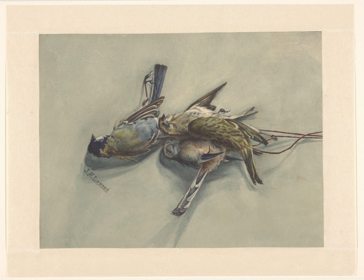 Natureza morta com três pássaros mortos de J.N. Landré (signed by artist)