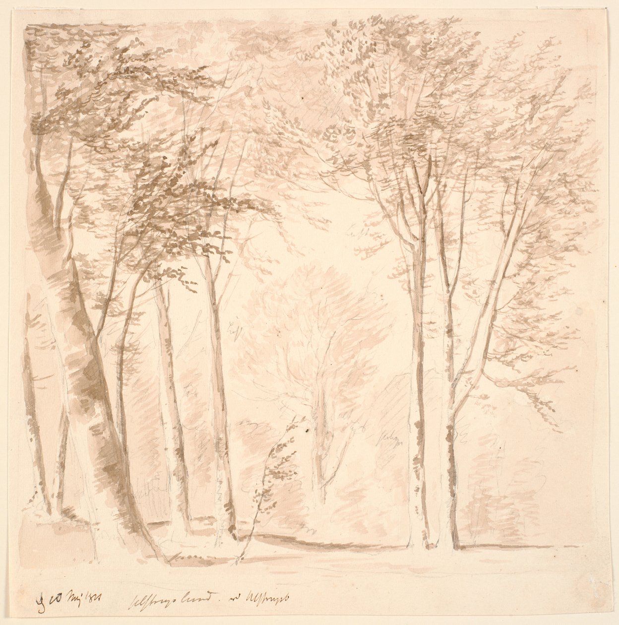 Lote da floresta de J.P. Møller