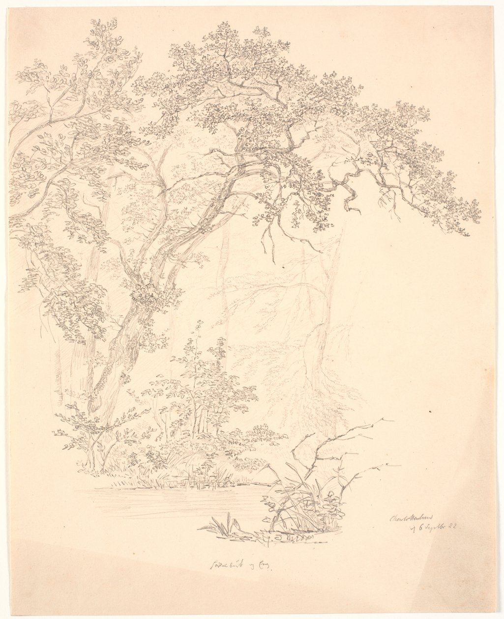 Árvores de J.P. Møller