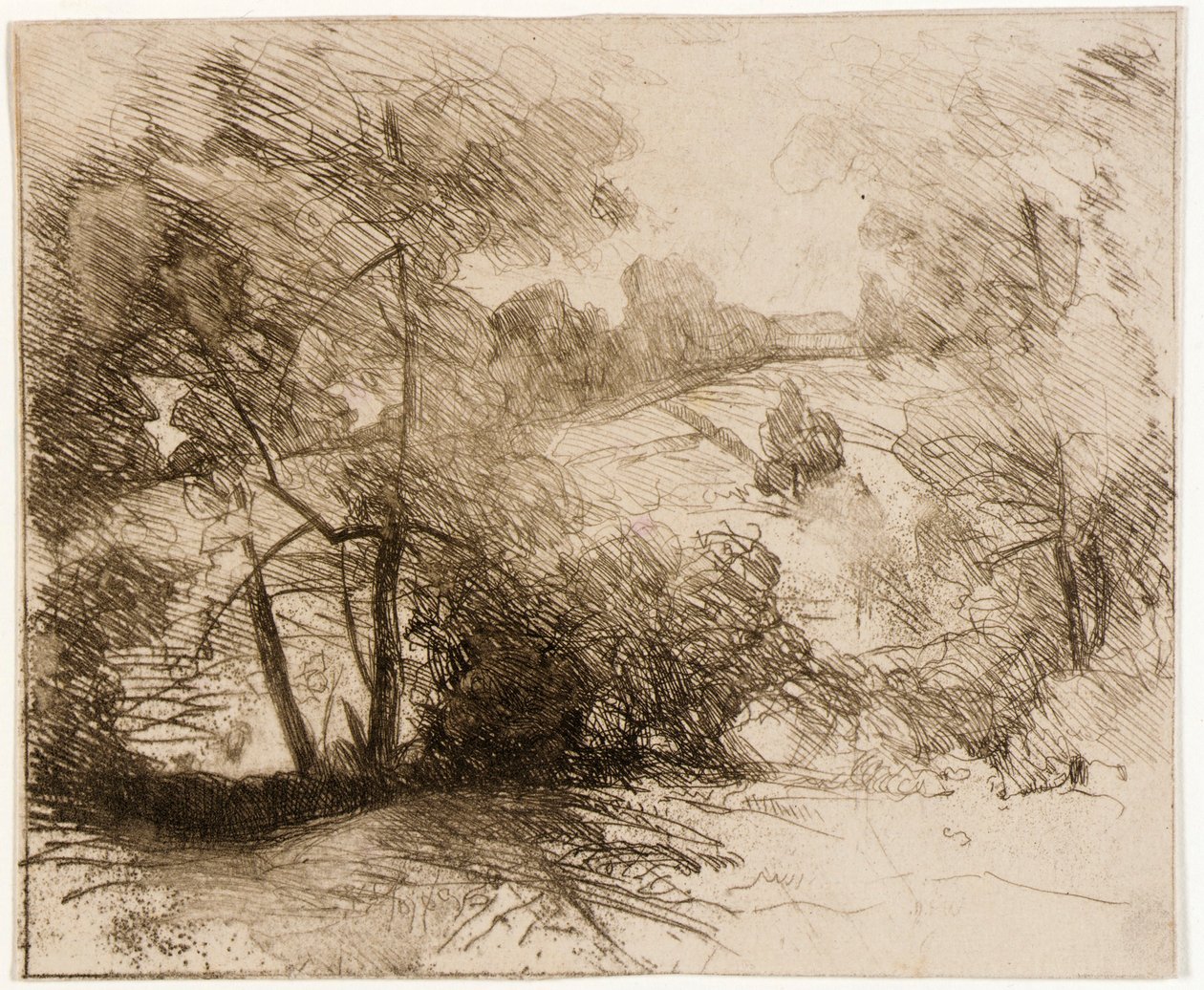 Salgueiros de J. Alden Weir
