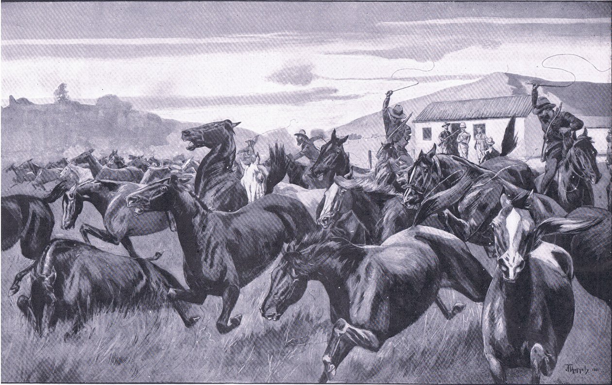 Boers invadindo o Remount Depot em Braamfontein, de depois de Pretória: A guerra de guerrilha publicada pela Harmsworth Bros Limited, 1901 de J. H. Thornely