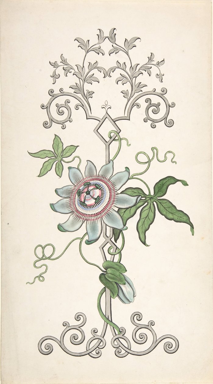 Projeto para Decoração de Painel Centrado em uma Flor de Paixão, 1828-40. de J Hulme