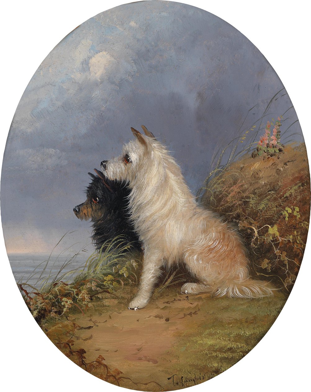 Dois cachorros na praia de J. Langlois