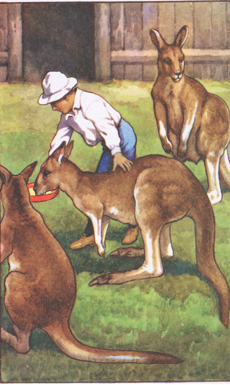 rapaz australiano, de cartazes escolares MacMillan, c.1950-60s (cor litho) de J. Macfarlane