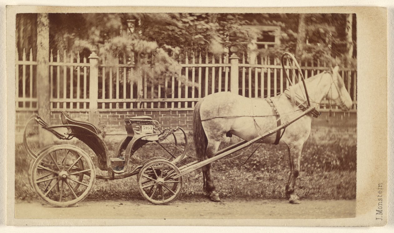 [Carruagem pequena com cavalo]. de J. Monstein