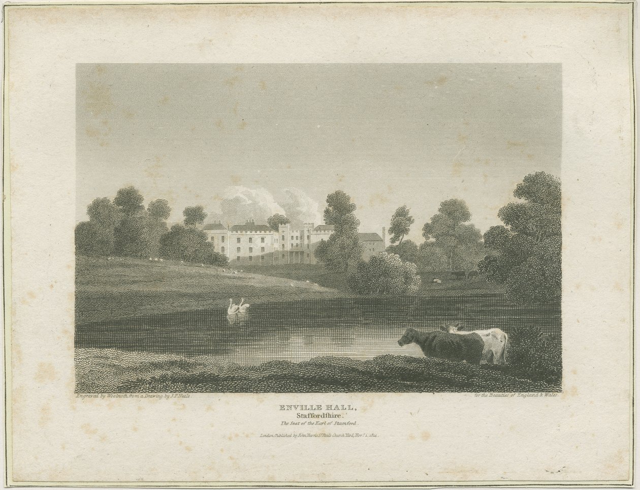 Enville Hall: gravura, nd [c 1814] (imprimir) de John Preston Neale