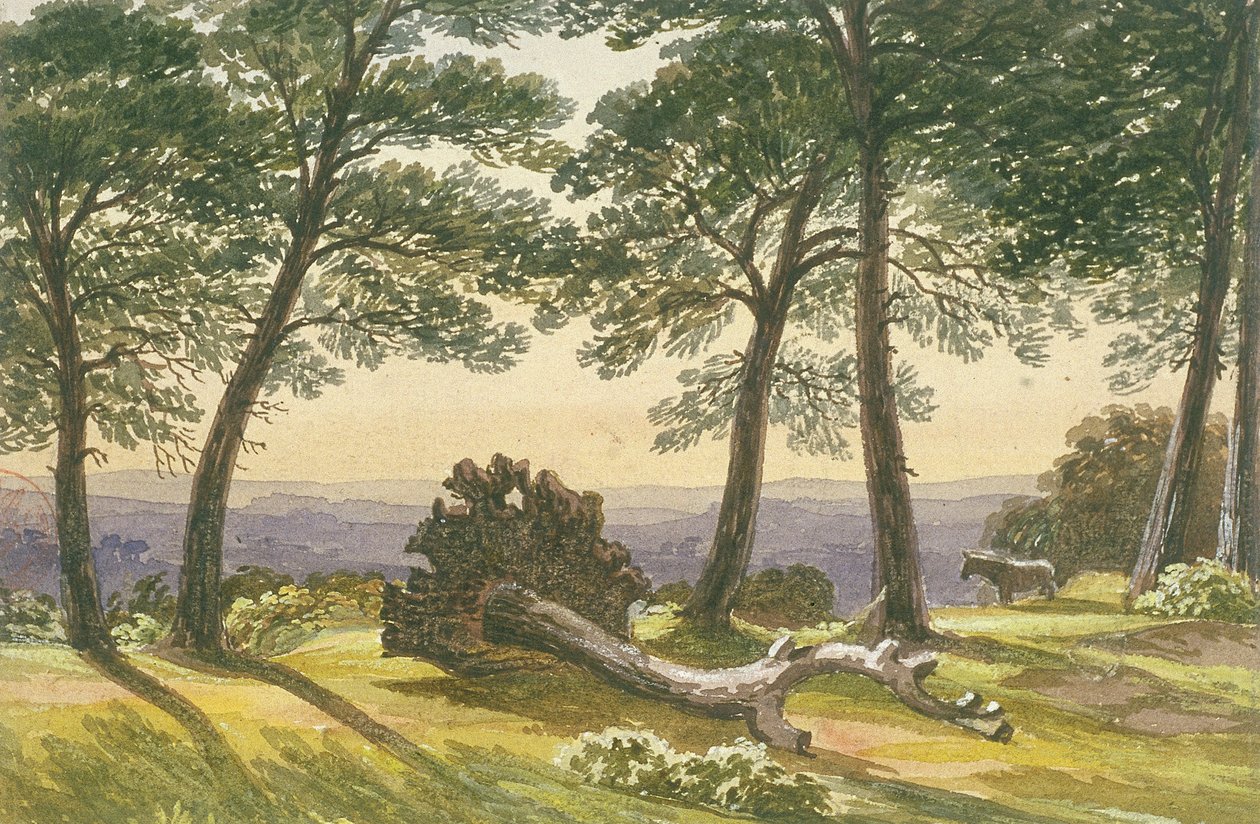 Hampstead Heath, Londres, c1830 de J Powell