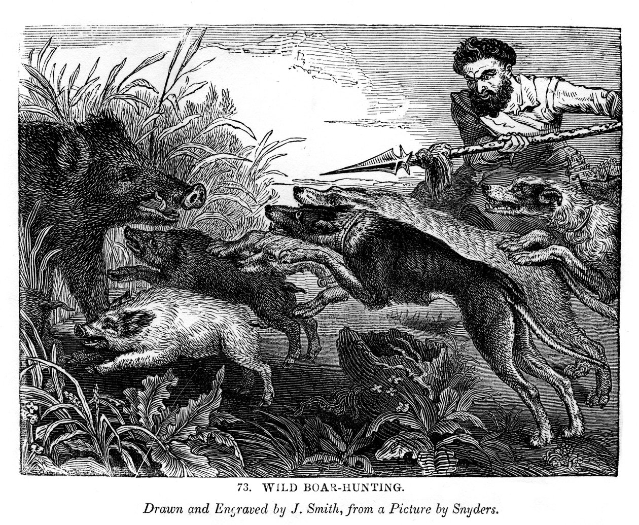 Caça ao javali, c1600-1650 1843 de J. Smith