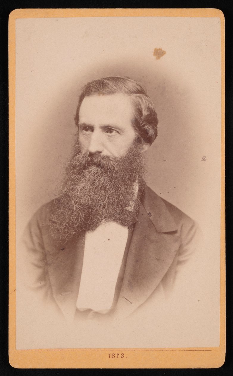 Retrato de Mordecai Cubitt Cooke 1825-1914, 1873. de J Stegmann