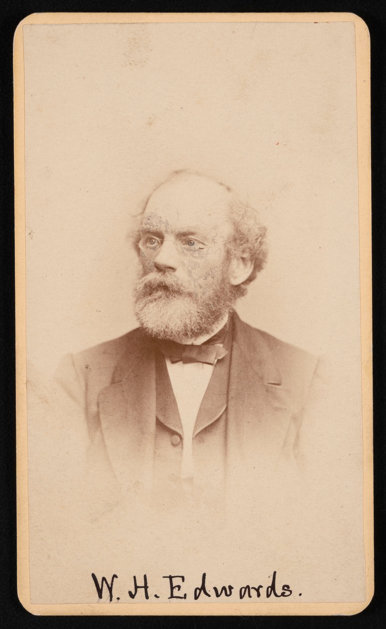 Retrato de William Henry Edwards 1822-1909, cerca de 1870s1880s. de J and W Vincent